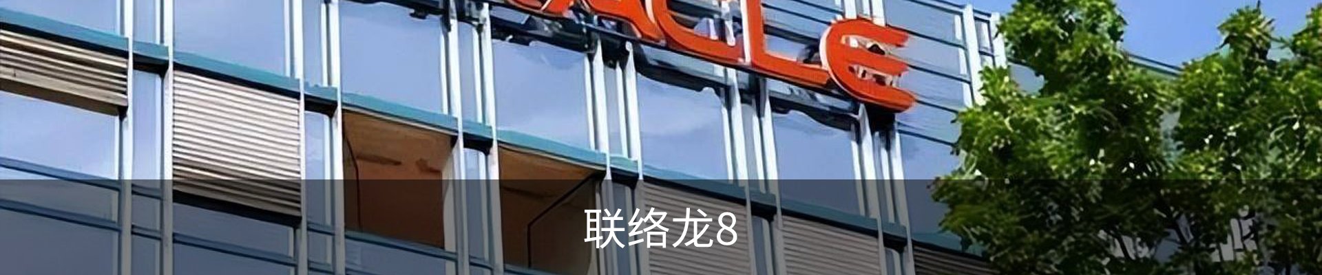 联络龙8