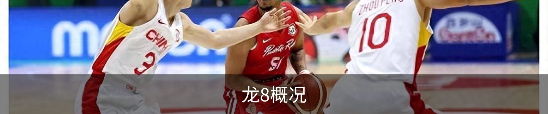 龙8概况